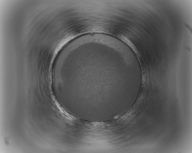 X0000100401144200806201730