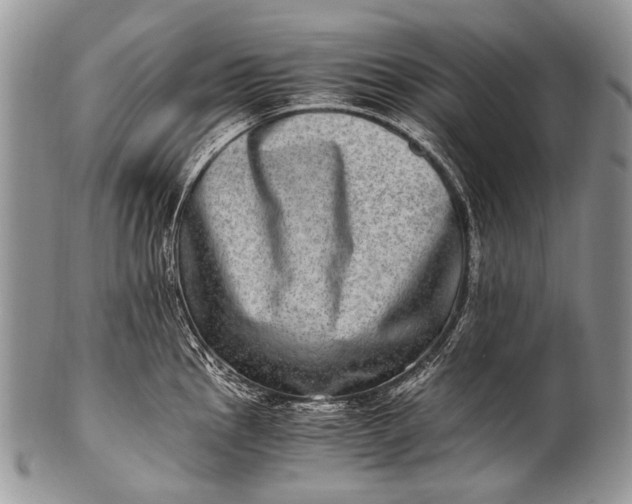 X0000100401145200806201730