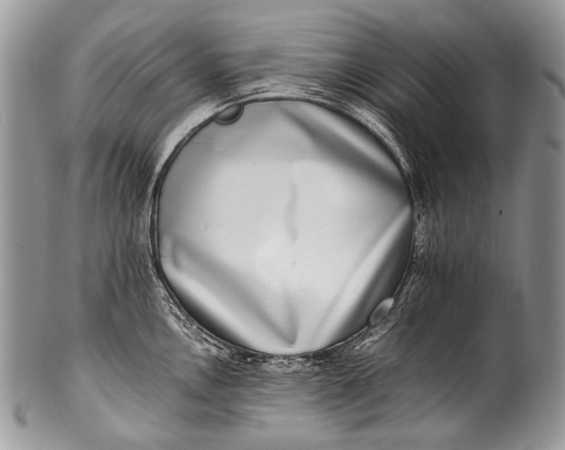 X0000100401146200806201730