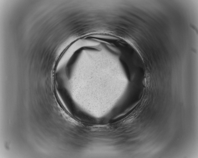 X0000100401151200806201730