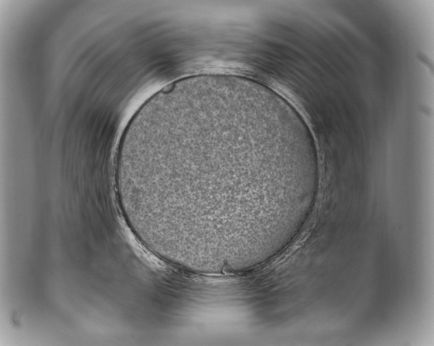 X0000100401152200806201730