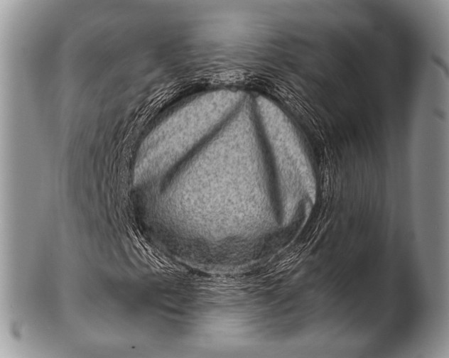 X0000100401153200806201730