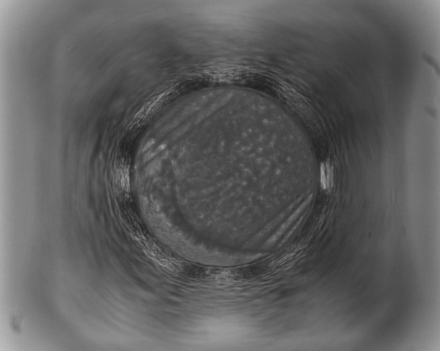 X0000100401155200806201730