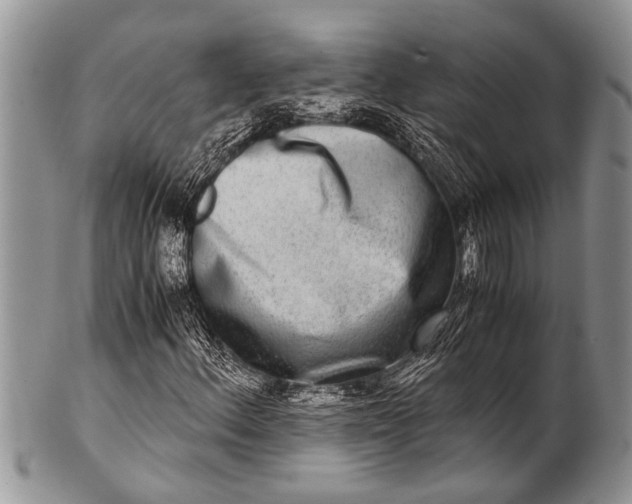 X0000100401156200806201730