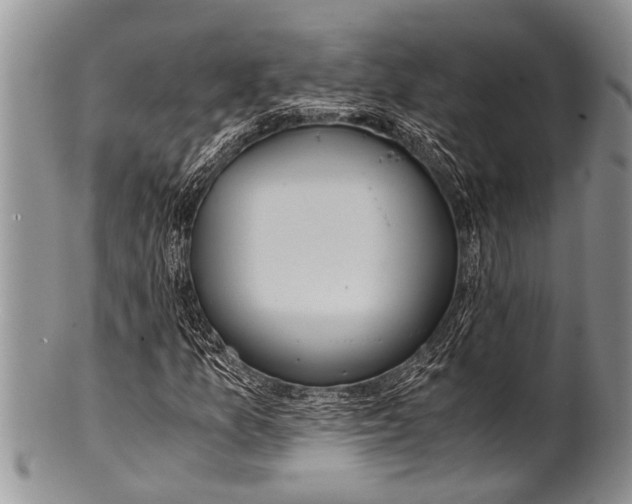 X0000100401157200806201730