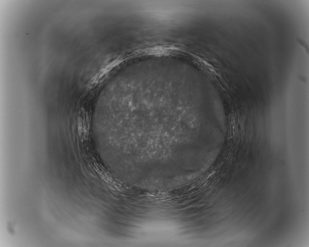 X0000100401158200806201730