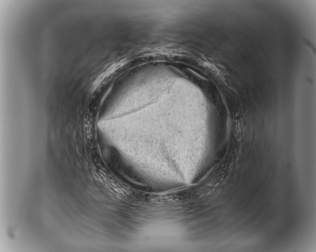 X0000100401159200806201730