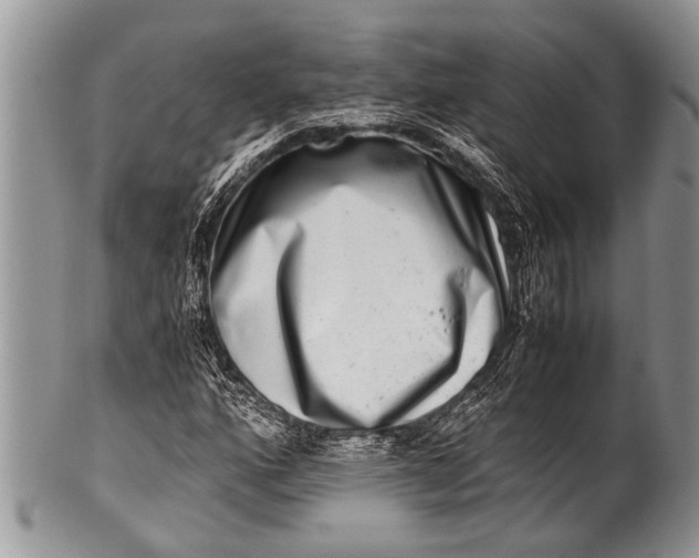 X0000100401160200806201730