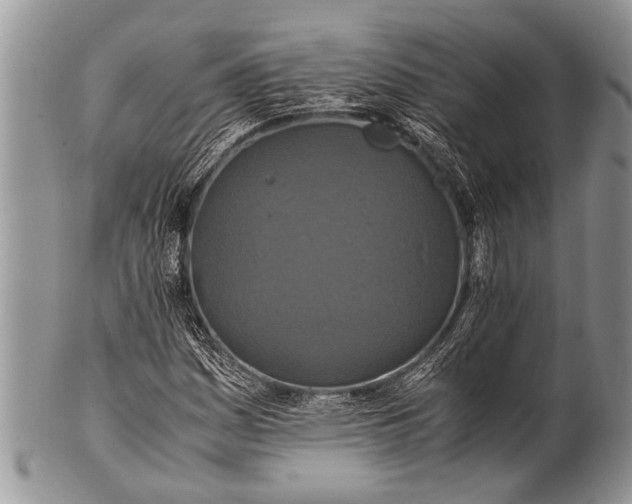 X0000100401161200806201730