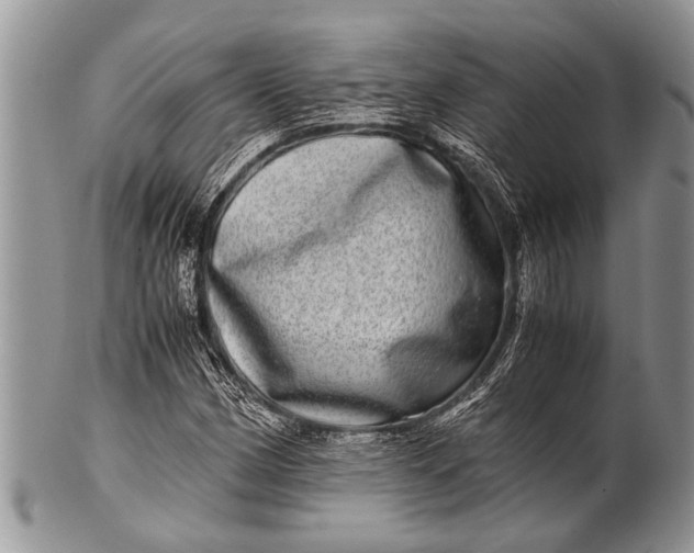 X0000100401162200806201730