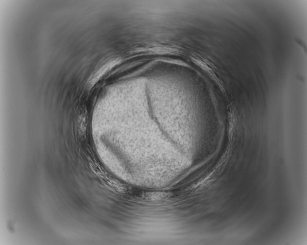 X0000100401163200806201730