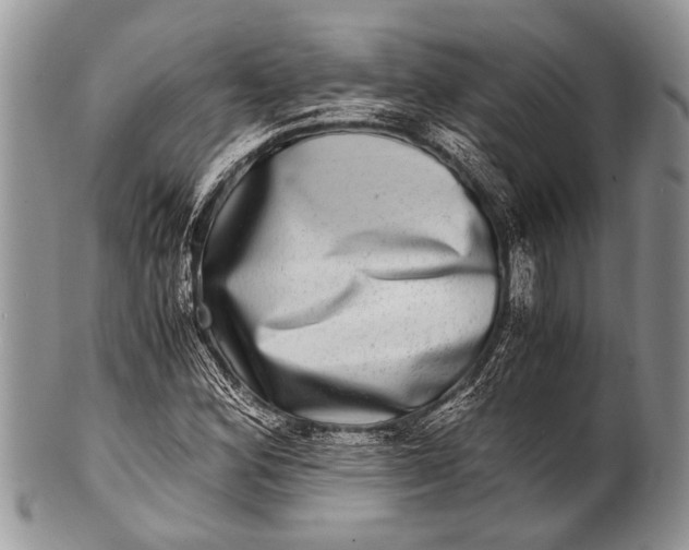 X0000100401164200806201730