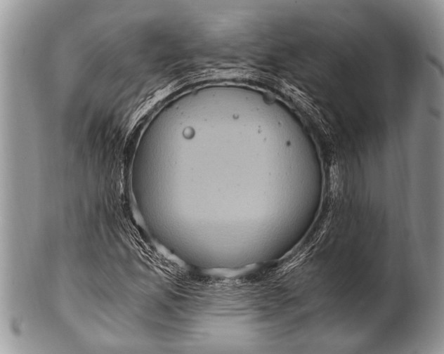 X0000100401165200806201729