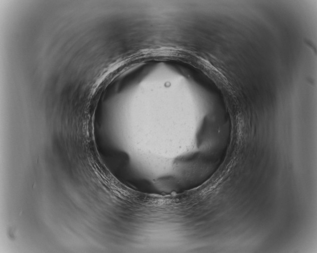 X0000100401166200806201729