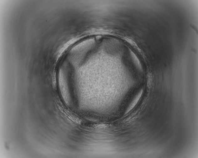 X0000100401167200806201729