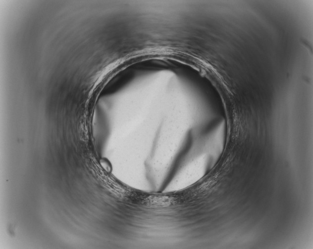 X0000100401168200806201729