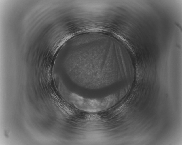 X0000100401170200806201729