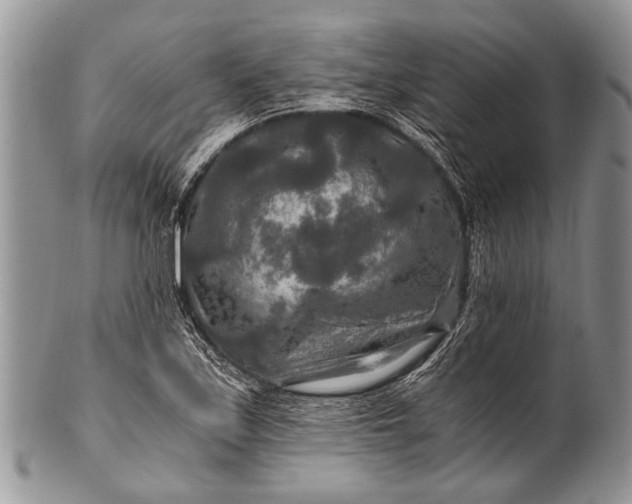 X0000100401171200806201729