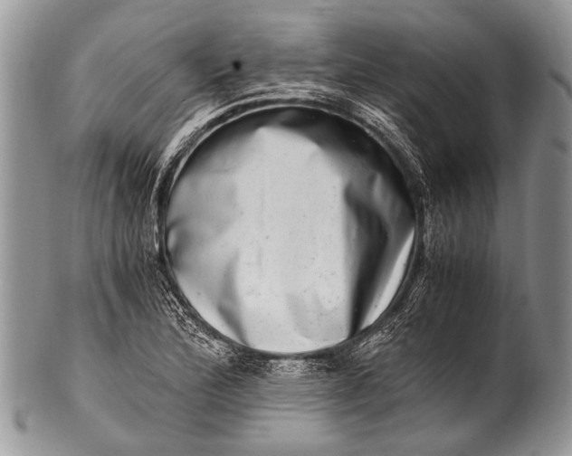 X0000100401172200806201729