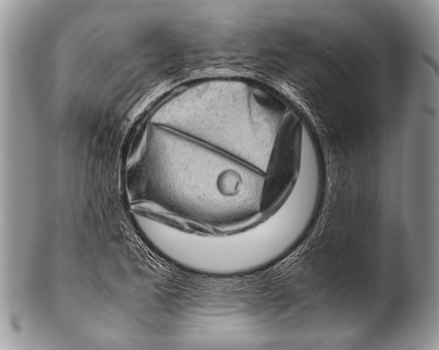 X0000100401173200806201729