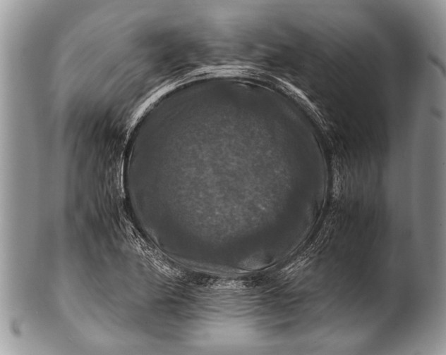 X0000100401174200806201729