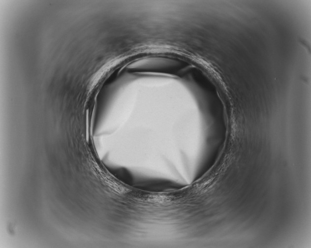 X0000100401175200806201729