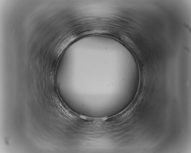 X0000100401177200806201729