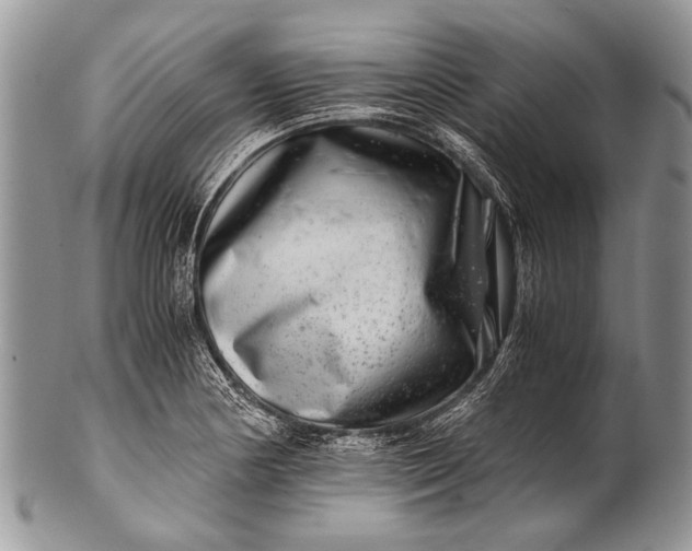 X0000100401178200806201729