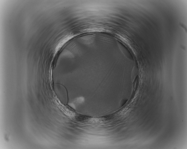 X0000100401179200806201729