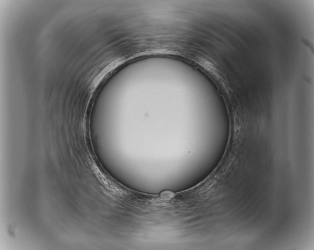 X0000100401181200806201729