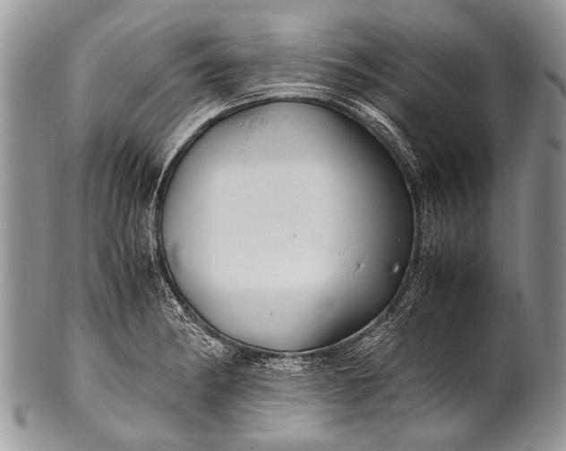 X0000100401182200806201729