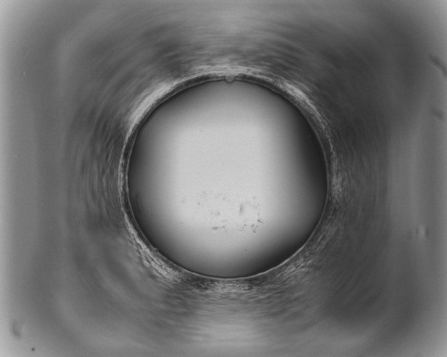 X0000100401183200806201729