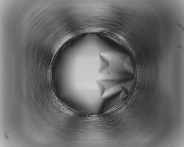 X0000100401186200806201729
