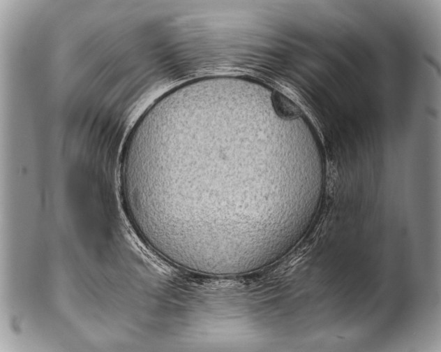 X0000100401187200806201729