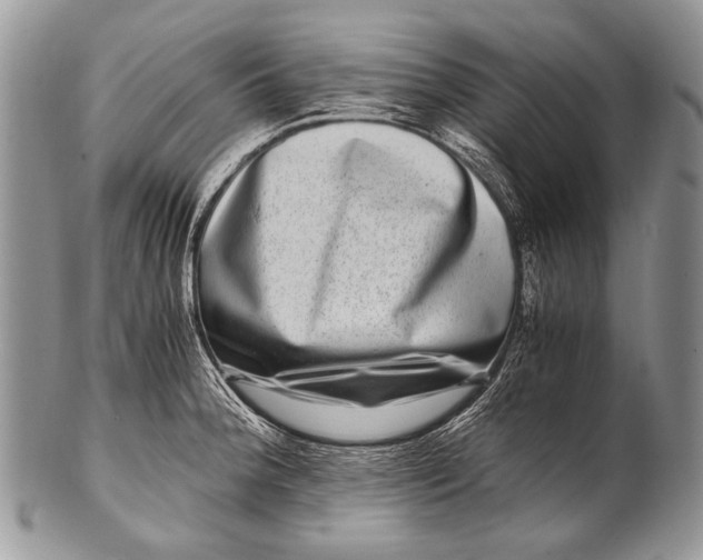 X0000100401188200806201729