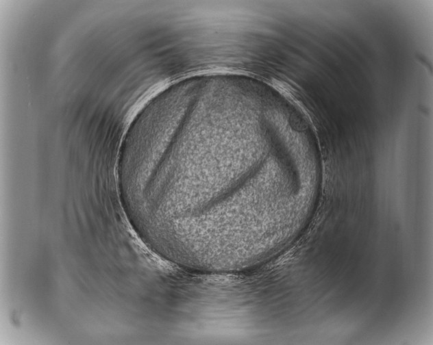 X0000100401189200806201729