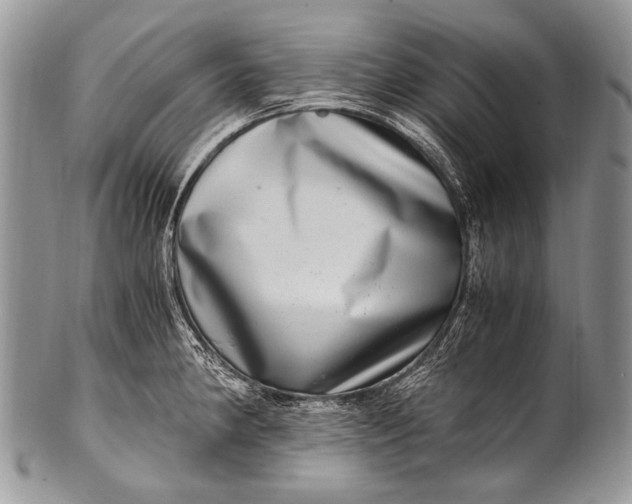 X0000100401190200806201729