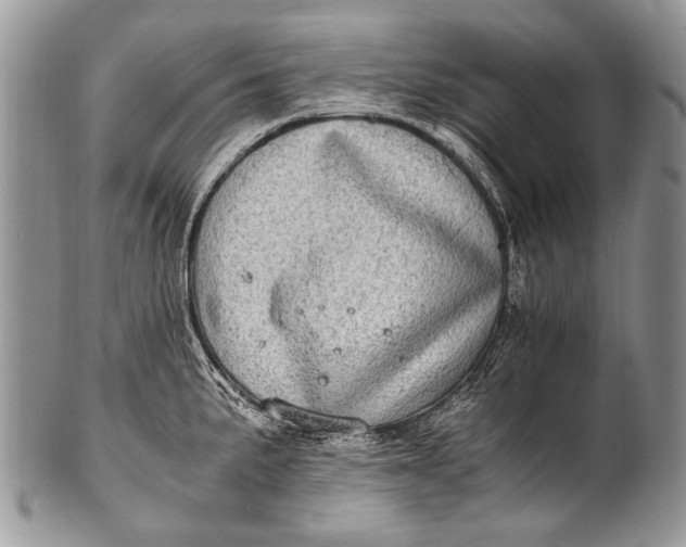 X0000100401191200806201729