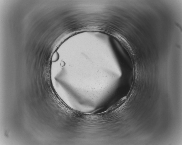 X0000100401192200806201729