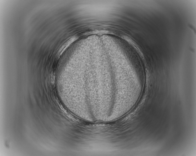 X0000100401193200806201729
