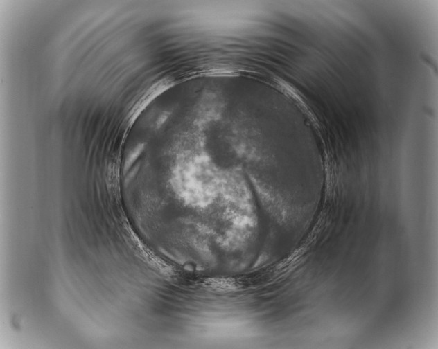 X0000100401194200806201729