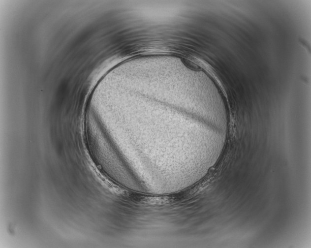 X0000100401195200806201729