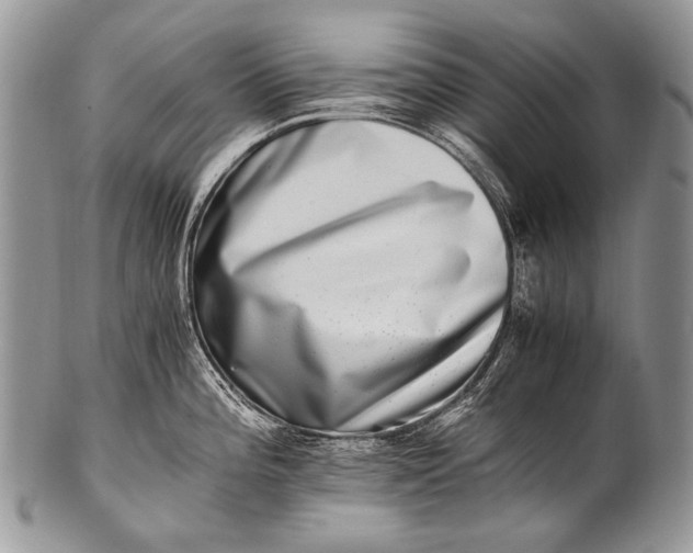 X0000100401196200806201729