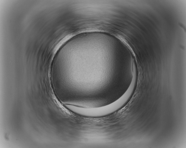X0000100401197200806201729