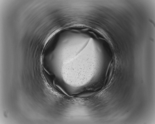 X0000100401198200806201729
