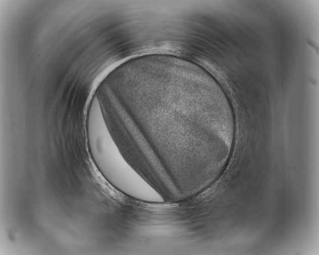 X0000100401200200806201729