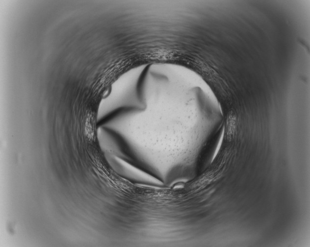 X0000100401202200806201728