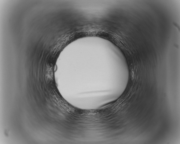 X0000100401204200806201728