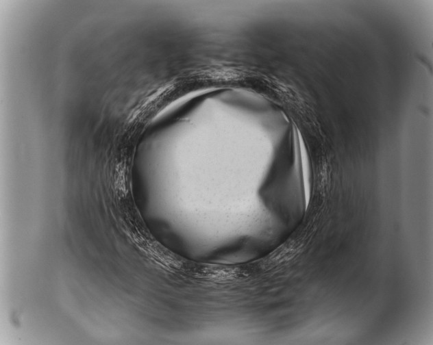 X0000100401205200806201728