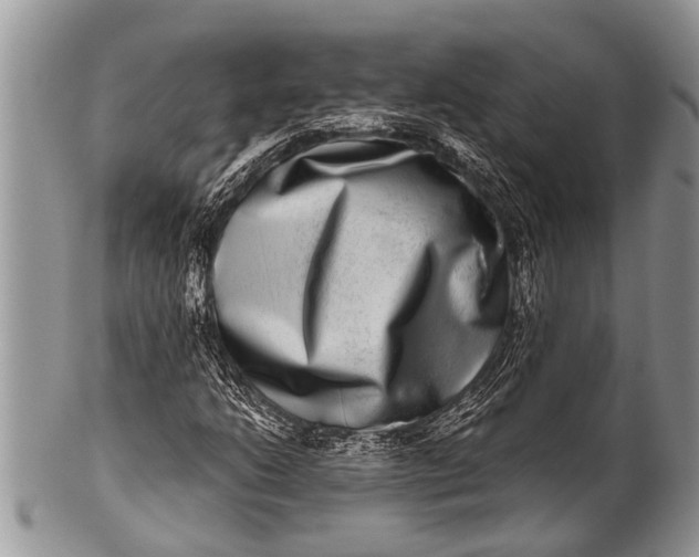 X0000100401206200806201728